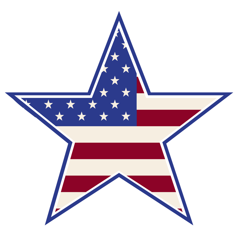 Amerikas Wahl logo