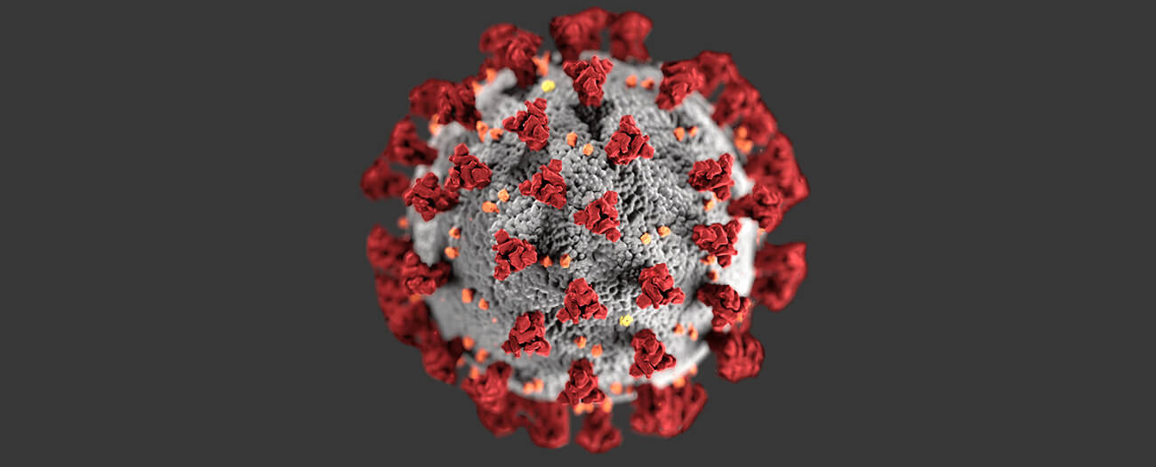Eine mikroskopische Aufnahme des Coronavirus.