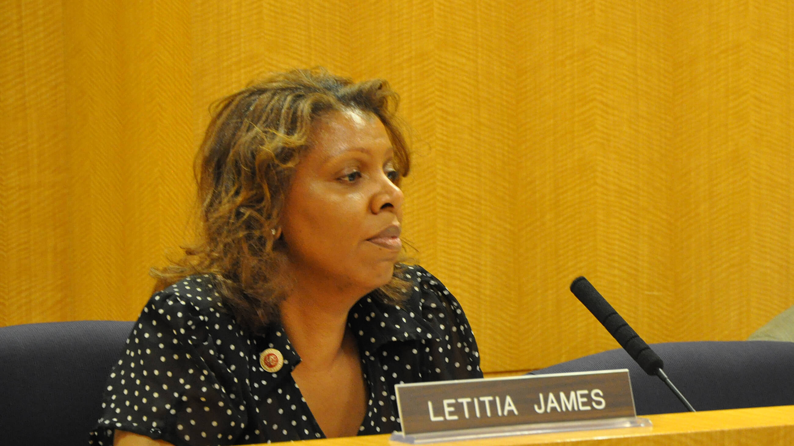Letitia James bei einer Sitzung des New York City Council 2009.
