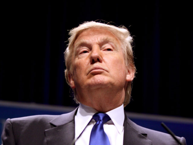 Donald Trump spricht zu Besuchern der CPAC 2011 in Washington, D.C.